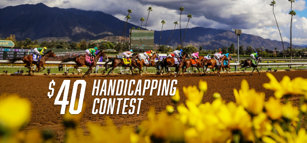 $40 Handicapping Contest