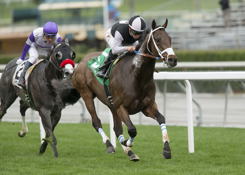 Favored Conquest Farenheit Impressive In Winning $75,000 Baffle Stakes 